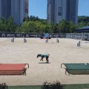 훈트가르텐 이미지