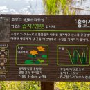 경안천 초부리 이미지