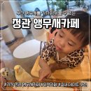 정관앵무새카페 | [내돈내산리뷰] 부산 아이와 가볼만한 곳｜앵무새 먹이주기 체험 가능한 정관앵무새카페 후기