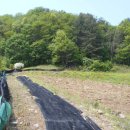 서원면사무소 이미지