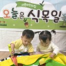 바질 씨앗 심기🌿 이미지