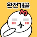 삼화프라자