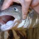 대구민박 이미지