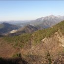 금성수지 이미지