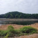 우두강둑길 이미지