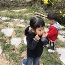 꿈마당유아숲체험원 Daum카페