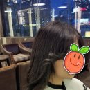 제노헤어서 네이버블로그