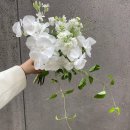 올로르플라워OlorFlower 이미지