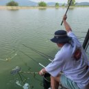 포천 마전낚시터 다녀왔습니다. 이미지