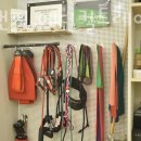 메디앤핏 이미지