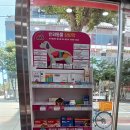 예닮약국 이미지