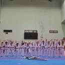 한국체대 호랑이 이미지