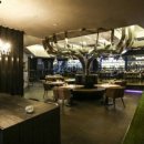 파티오커피 이미지