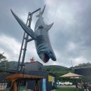 삼육사로36 이미지