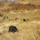 소가산농장 이미지