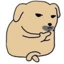 Holly Molly | 마운자로 한 달+두 달차 사용 후기 (내돈내산, 광고x)