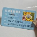 돌멩 | 직장인 이색 취미 반려돌 펫스톤 애완돌 키우기 사투리 쓰는 돌멩씨