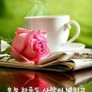 꽃을사랑합니다 이미지