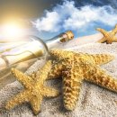 뷰티 파트너 이미지