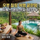 라가(RAGA) | [여행 트랜드 3편] 우붓 힐링 여행 끝판왕｜디톡스·명상·스파까지 되는 웰니스 리조트 BEST 4