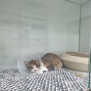 오션동물메디컬센터 이미지