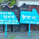 청자연