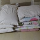 아무렴민박 이미지