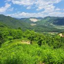 봉산농장 이미지