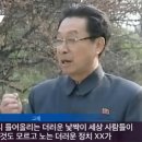 (주)매일원색