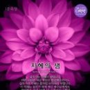 지혜 이미지