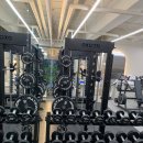 피티올로지 이미지