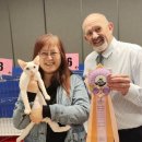 랙돌캐터리파이널돌 | 메리 크리스마스 ! - 적응이 끝난 다즐링 소식 &amp; 첫 쇼 데뷔한 데본렉스 펄 소식 [랙돌캐터리 바비돌]