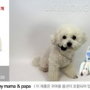 라이크몽 이미지