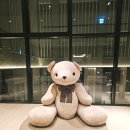 지에스(GS)25 강문삼거리점 | [강릉호텔] 신라모노그램 디럭스 패밀리 트윈 오션뷰 2박3일 후기