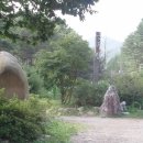 평창송어횟집 Daum카페