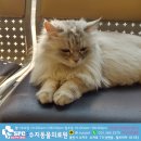 수지동물의료원 이미지