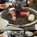 다흰정