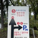 대전예술의전당 아트홀 | 순회공연, 대전예술의전당 디즈니 + 지브리 오케스트라 콘서트 후기 (대전예술의전당 주차장, 아트홀...