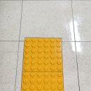 두리두리사업단