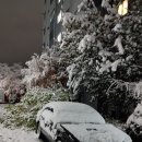 뒷 브레이크등 소켓이 불량 입니다.525v 이미지