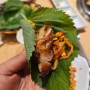 더하다학장점 | 부산 학장 회식하기 좋은 가성비 삼겹살 맛있는 고기가 솜씨를 더하다
