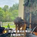 안양판교로828번길 이미지