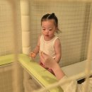 주주클럽 | 내돈내산 구포 덴바스타 키즈 호텔 대만족 후기 (실내놀이터, 실내수영장) 15개월아기랑