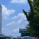 청산프라스틱 | 수서동 신동아아파트 실거주 후기 장단점 : 정든 신혼집 안녕