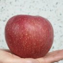 태송농원 이미지