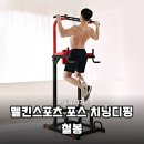 누리스포츠 | 멜킨스포츠 포스 치닝디핑 철봉, 집에서 헬스장 효과 그대로 누리는 솔직 후기