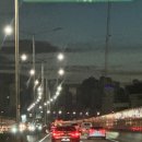 펫리즈 | 2024 하반기 소노펫X리즈 어질리티 대회후기