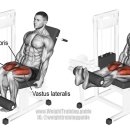 베스트짐 이미지