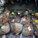 비응남로 이미지