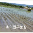 초이농장 네이버블로그